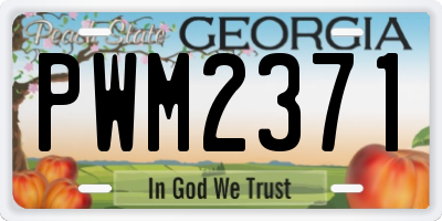 GA license plate PWM2371