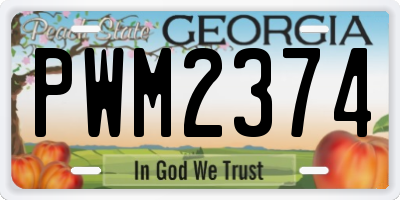 GA license plate PWM2374
