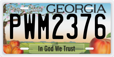 GA license plate PWM2376