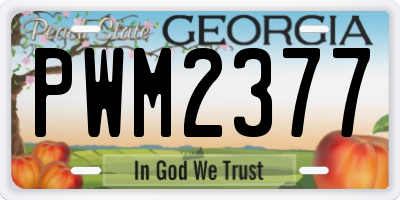 GA license plate PWM2377