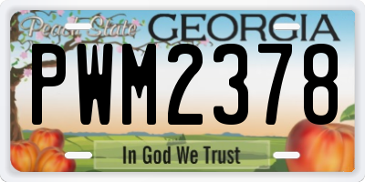 GA license plate PWM2378