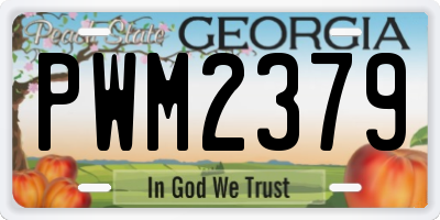 GA license plate PWM2379