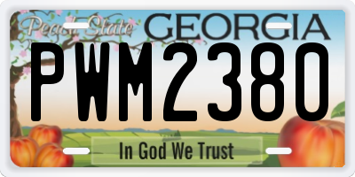 GA license plate PWM2380
