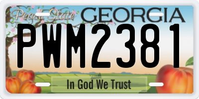 GA license plate PWM2381