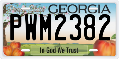GA license plate PWM2382