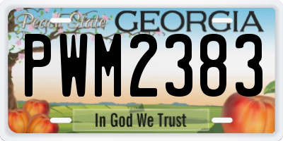 GA license plate PWM2383