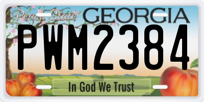 GA license plate PWM2384