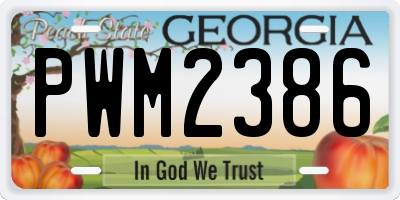 GA license plate PWM2386