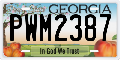 GA license plate PWM2387