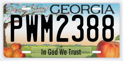 GA license plate PWM2388