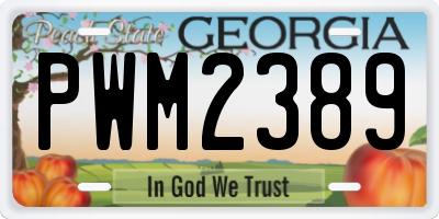 GA license plate PWM2389