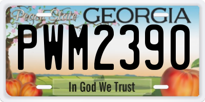 GA license plate PWM2390