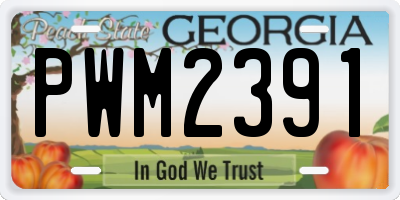 GA license plate PWM2391