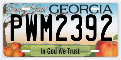 GA license plate PWM2392