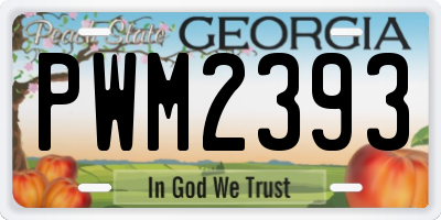 GA license plate PWM2393