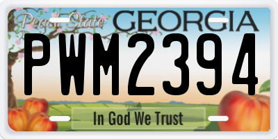 GA license plate PWM2394
