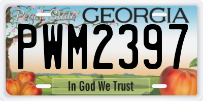 GA license plate PWM2397