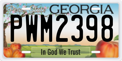 GA license plate PWM2398