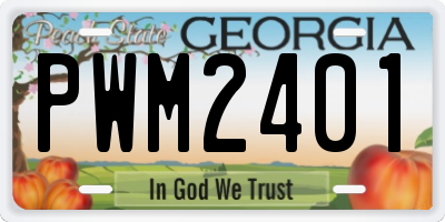 GA license plate PWM2401