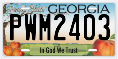 GA license plate PWM2403