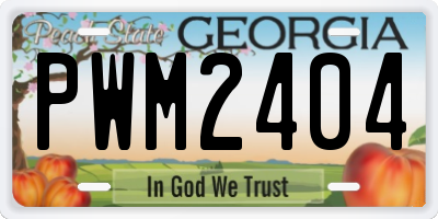 GA license plate PWM2404