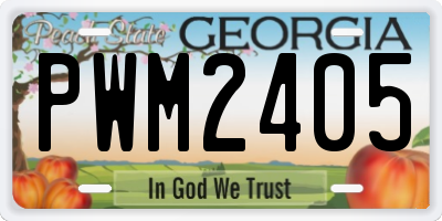 GA license plate PWM2405