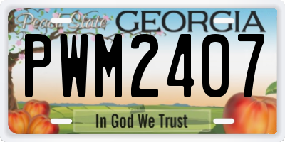 GA license plate PWM2407