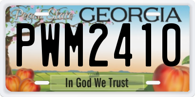 GA license plate PWM2410
