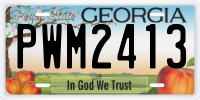 GA license plate PWM2413
