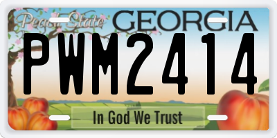 GA license plate PWM2414