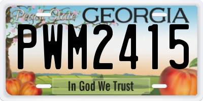 GA license plate PWM2415