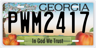 GA license plate PWM2417
