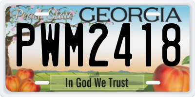 GA license plate PWM2418