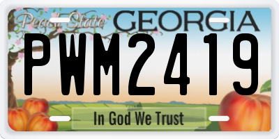 GA license plate PWM2419