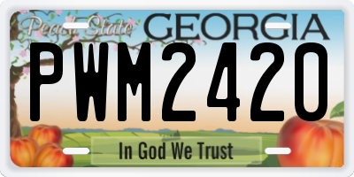 GA license plate PWM2420
