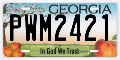 GA license plate PWM2421