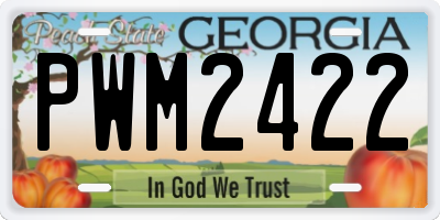 GA license plate PWM2422