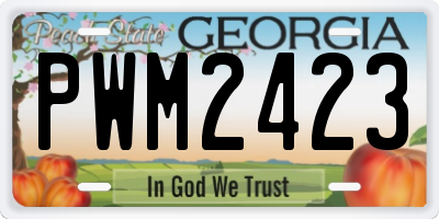 GA license plate PWM2423