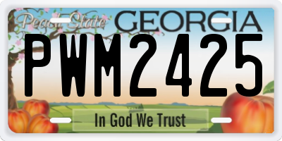 GA license plate PWM2425