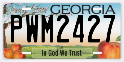GA license plate PWM2427