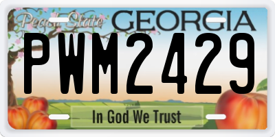 GA license plate PWM2429