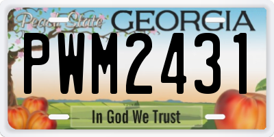 GA license plate PWM2431