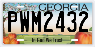 GA license plate PWM2432