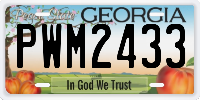 GA license plate PWM2433