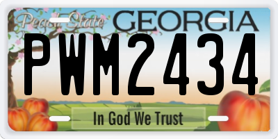 GA license plate PWM2434