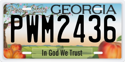 GA license plate PWM2436