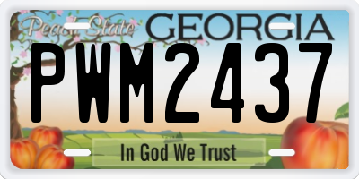 GA license plate PWM2437