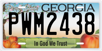 GA license plate PWM2438
