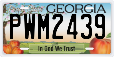 GA license plate PWM2439