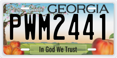 GA license plate PWM2441